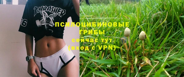 эйфоретик Алексин
