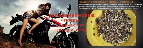 эйфоретик Алексин